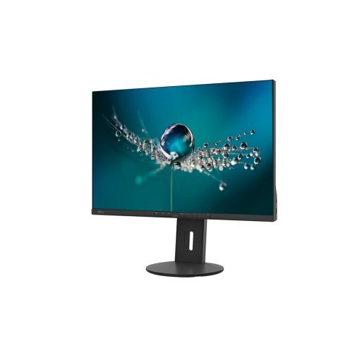 Монитор Fujitsu B2410 WS S26361-K1697-V160 (снимка 2)
