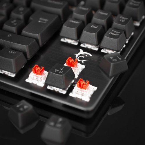 Клавиатура White Shark GK-2101 (снимка 3)