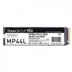 SSD Team Group TM8FPK001T0C101