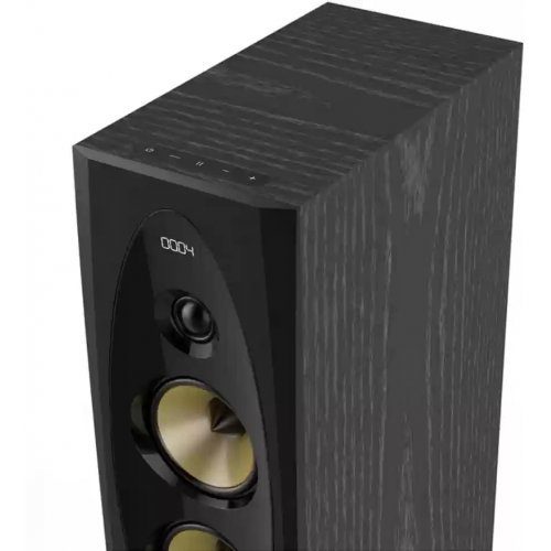 Тонколони за компютър Fenda F&D T-60X_PRO (снимка 3)