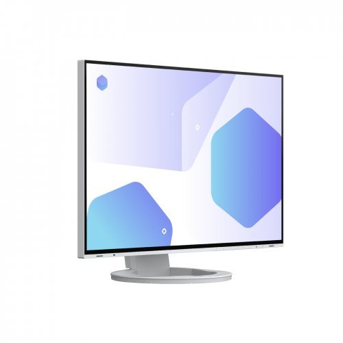 Монитор EIZO EV2485-WT (снимка 1)