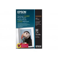 Консумативи за мастиленоструен печат > Epson C13S042154