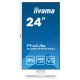 Монитор iiyama XUB2492HSU-W6
