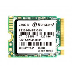 SSD Transcend TS256GMTE300S