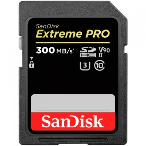 Флаш карта SanDisk Extreme SDSDXDK-256G-GN4IN (снимка 1)