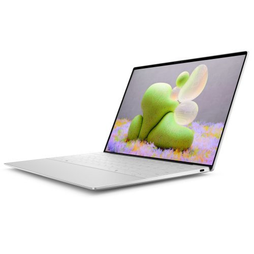 Лаптоп Dell TRIBUTO_MTL_2501_1200 (снимка 3)