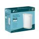 Access Point TP-Link RE900XD