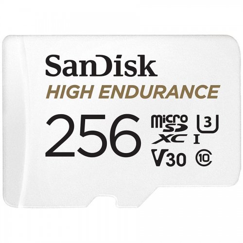 Флаш карта SanDisk SDSQQNR-256G-GN6IA (снимка 1)