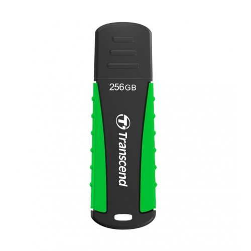 USB флаш памет Transcend TS256GJF810 (снимка 1)