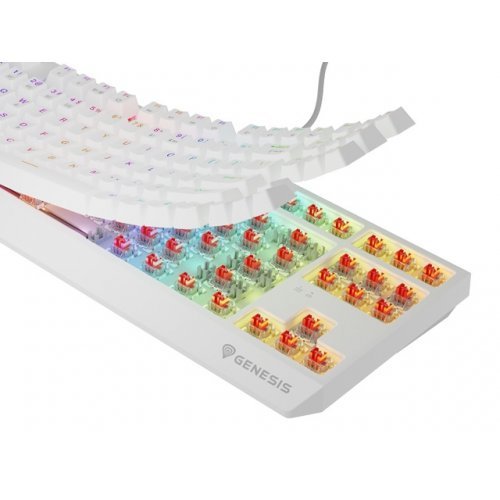 Клавиатура Genesis NKG-2165 (снимка 3)