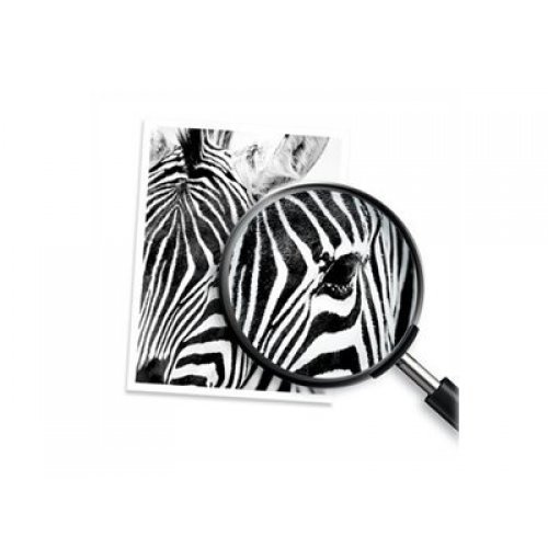 Консумативи за мастиленоструен печат > HP 4K0U9NE#CE1 (снимка 2)