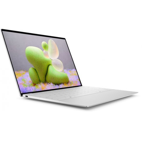 Лаптоп Dell TRIBUTO_LNL_2501_1200_WIN_US (снимка 2)