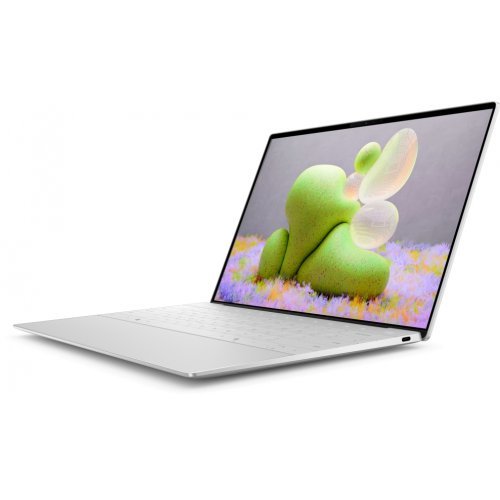 Лаптоп Dell TRIBUTO_LNL_2501_1200_WIN_US (снимка 3)