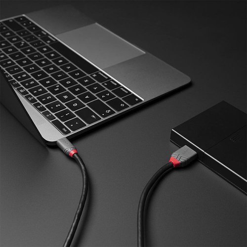USB кабел Lindy LNY-36621 (снимка 5)