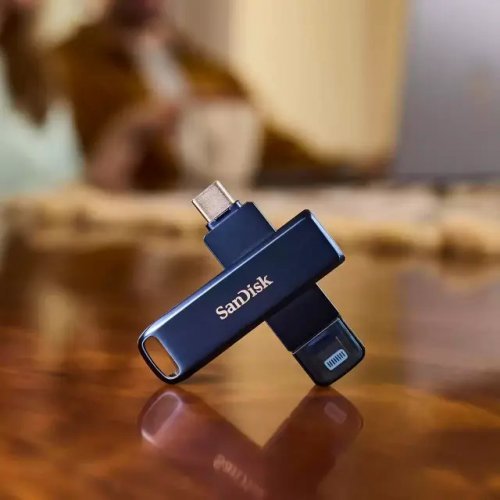 USB флаш памет SanDisk SDIX0N-256G (снимка 1)